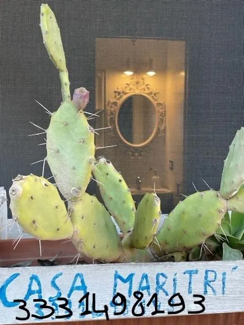 Casa Maritri Locazione Turistica Hotel Marzamemi Italy
