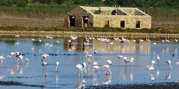 Casa Maritri Locazione Turistica Hotel Marzamemi Guest house